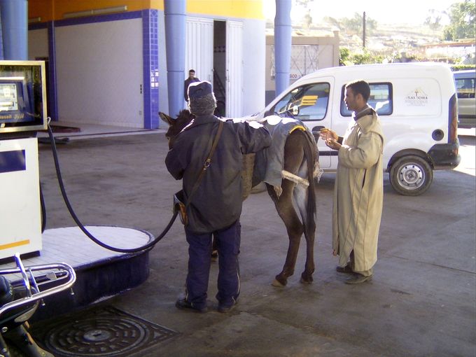 Mula repostando gasolina
