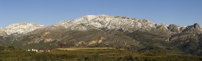 Serrella