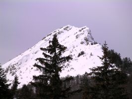 La Pinea