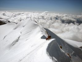 En la arista del Castor en los Alpes (Italia-Suiza)