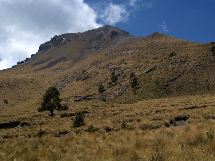 Zona de pastizales con los últimos árboles