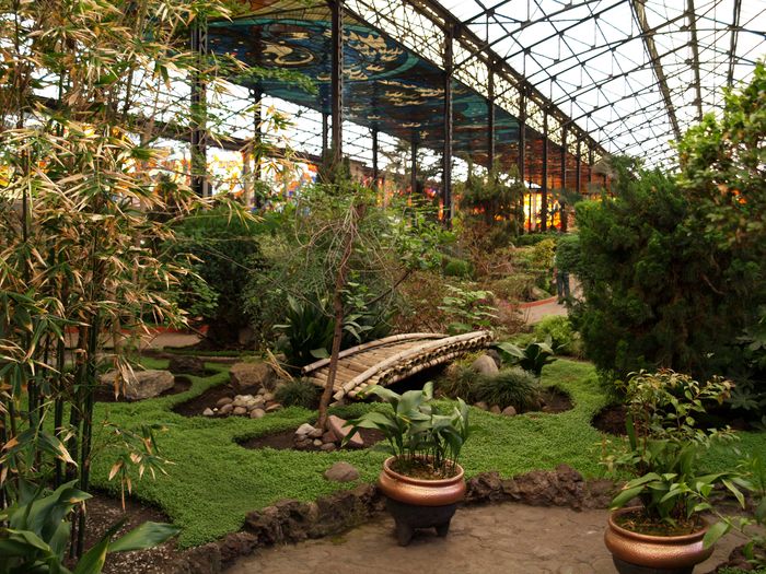 Cosmo Vitral Jardín Botánico