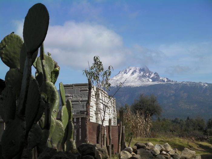 La Malinche y un nopal